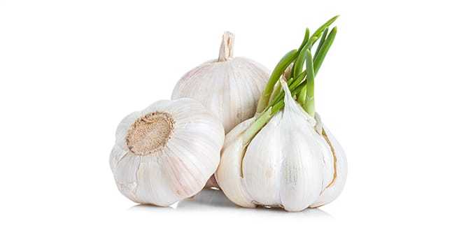 Sarımsak Kg