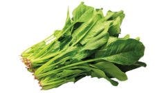 Ispanak Kg