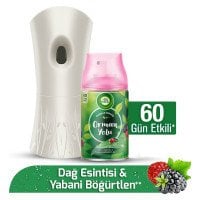 Air Wick Fresh Matik Dağ Esintisi&Yabani Böğürtlen Yedek Hediye 250ml