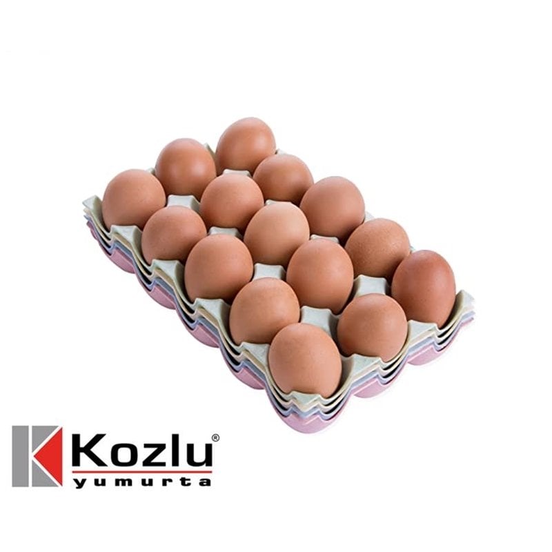 Kozlu Anaç Yumurta M 15li