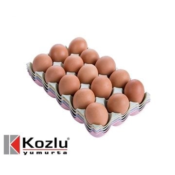 Kozlu Anaç Yumurta M 15li