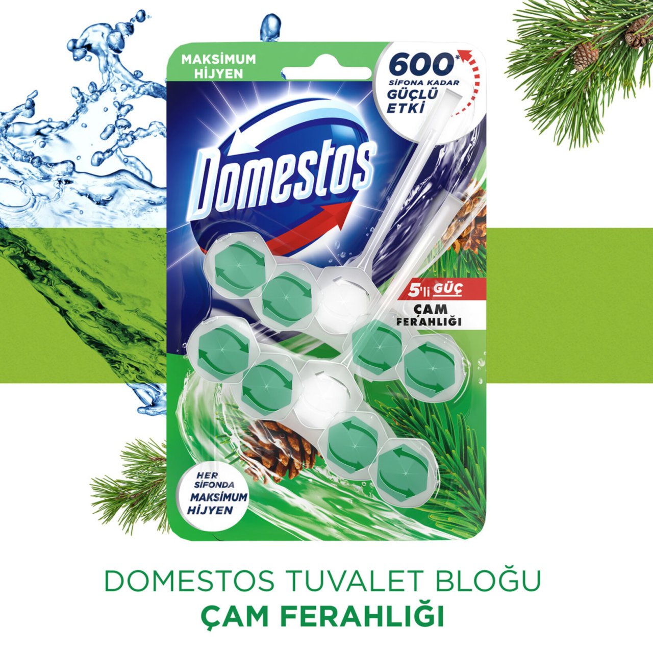 Domestos Wc Blok Çam Ferahlığı 2x5li 100gr