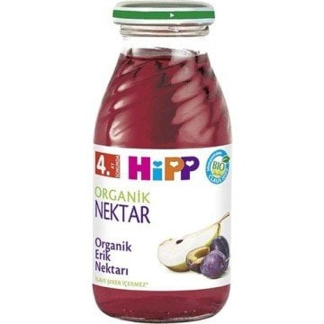Hipp Organik Erik Nektarı 200ml cam