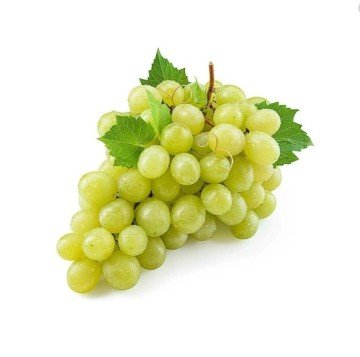 Üzüm Kg