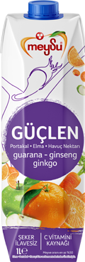 Meysu Güçlen 1000ml