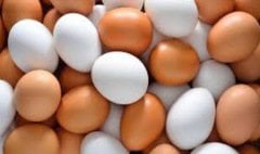 Hiraoğulları Yumurta 30lu Orta