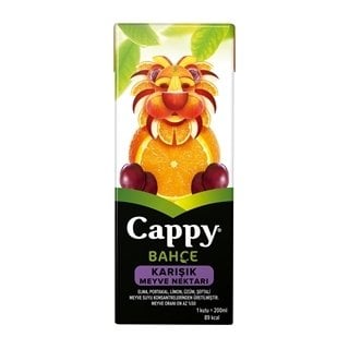 Cappy Meyve Suyu Karışık Meyve 200ml uht