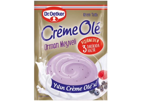Dr. Oetker Creme Ole Orman Meyveli 89gr