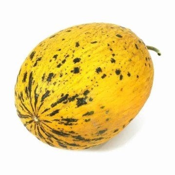 Kırkağaç Kavun Kg