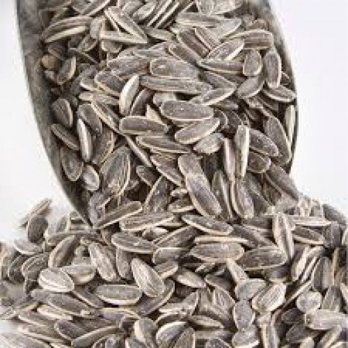 Dakota Çekirdek Tuzlu Kg