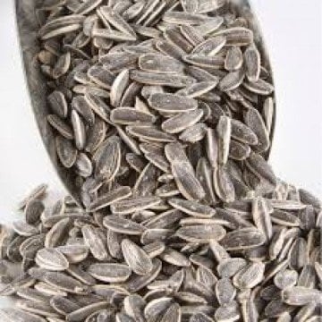 Dakota Çekirdek Tuzlu Kg