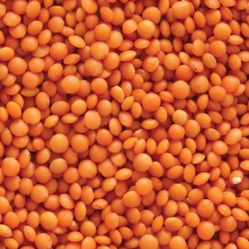 Kırmızı Mercimek Kg