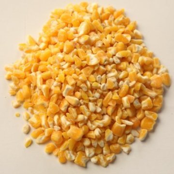 Mısır Aşı Kg