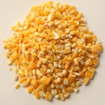 Mısır Aşı Kg