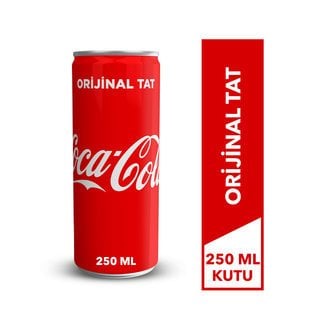 Coca-Cola 250ml tnk