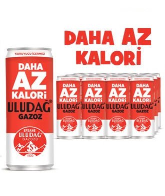 Uludağ Gazoz 330ml tnk