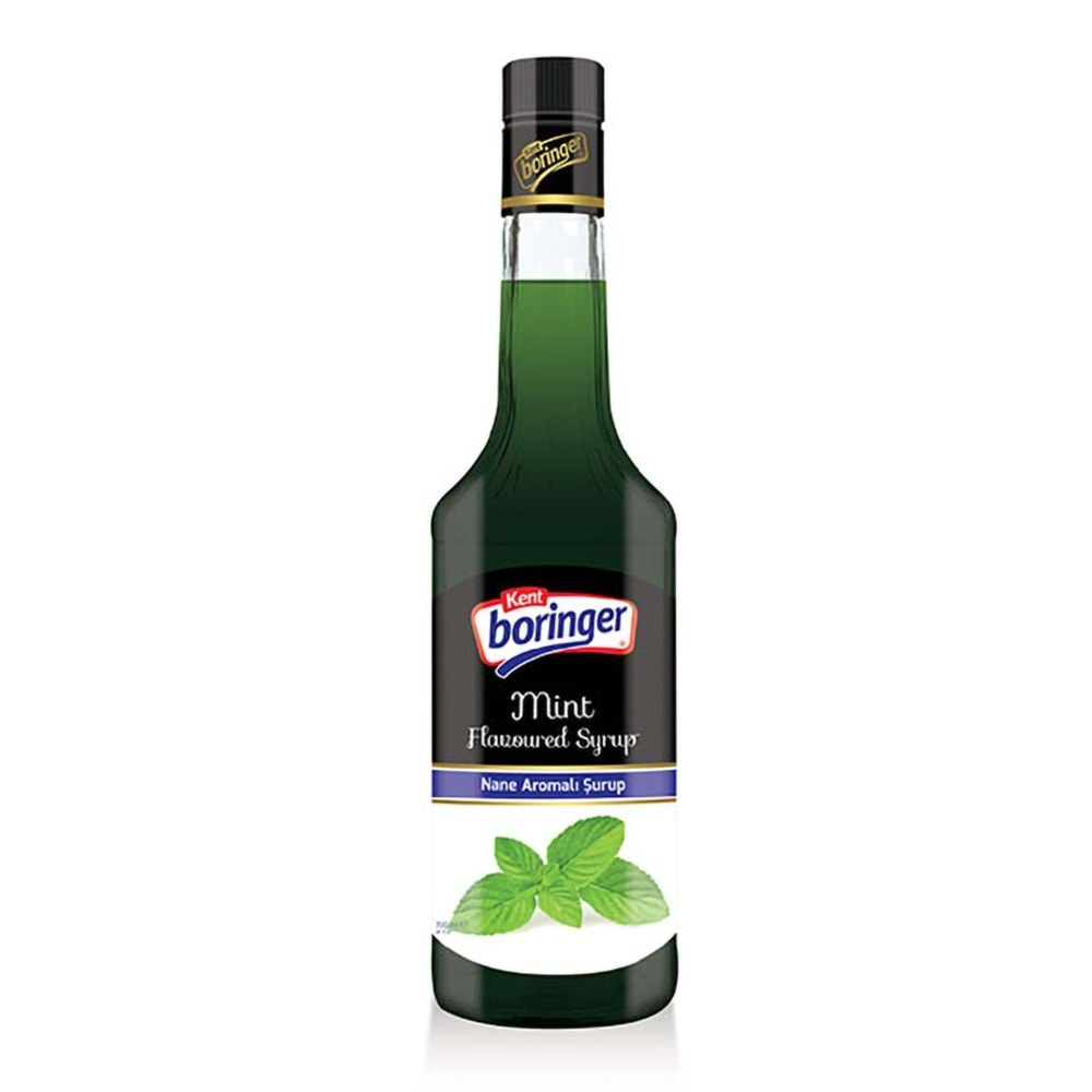 Kent Bahçe Nanesi Aromalı Şurup 355ml