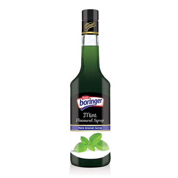 Kent Bahçe Nanesi Aromalı Şurup 355ml