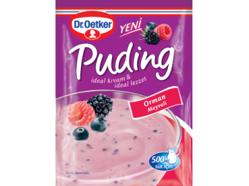 Dr. Oetker Puding Orman Meyveli 81gr