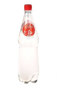 Uludağ Gazoz 1000ml pet